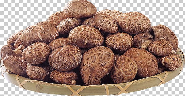 Edible Mushroom Shiitake Fungus Medicinal Fungi PNG, Clipart, Archive File, Bank, Depositfiles, Edible Mushroom, Food Free PNG Download