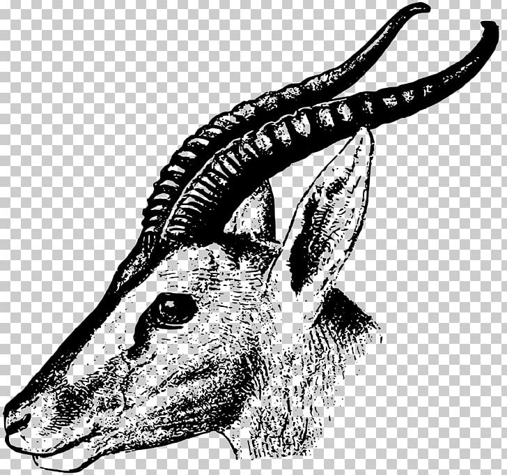 Gazelle Impala Antelope PNG, Clipart, Animals, Antelope, Art, Black And White, Cartoon Free PNG Download