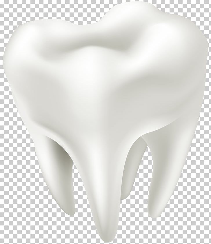 Human Tooth Human Body PNG, Clipart, Anterior Vagal Trunk, Cartoon, Dentist, Dentistry, Homo Sapiens Free PNG Download