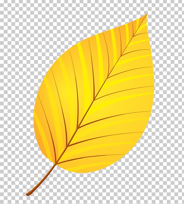 Leaf Yellow Autumn Leaves Petal PNG, Clipart, Alder, Autumn Leaves, Deciduous, Leaf, Leaflet Free PNG Download