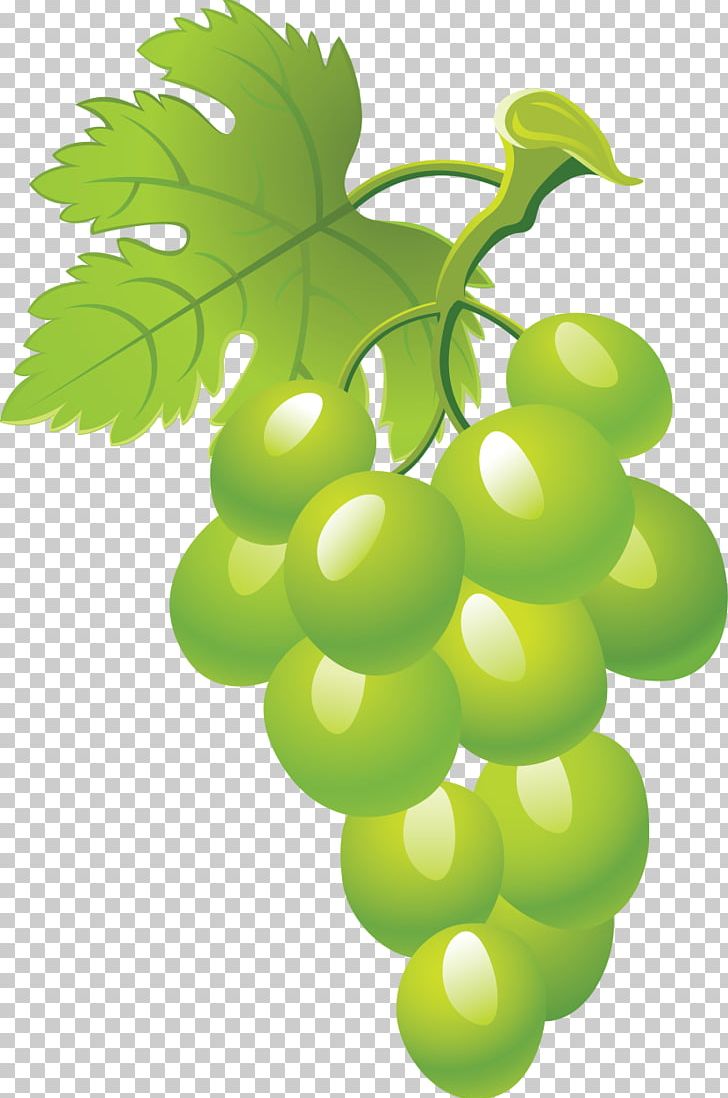 Common Grape Vine Fruit PNG, Clipart, Common Grape Vine, Download, Flowering Plant, Food, Fruit Free PNG Download