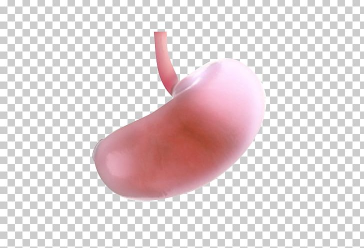 Lip Peach PNG, Clipart, Art, Gastric, Lip, Peach Free PNG Download