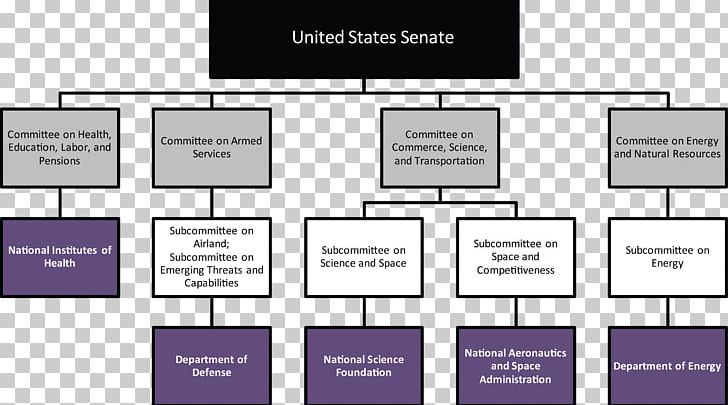 Organization Flowchart Senate Committee United States Congress PNG, Clipart, Angle, Brand, Chart, Committee, Communication Free PNG Download