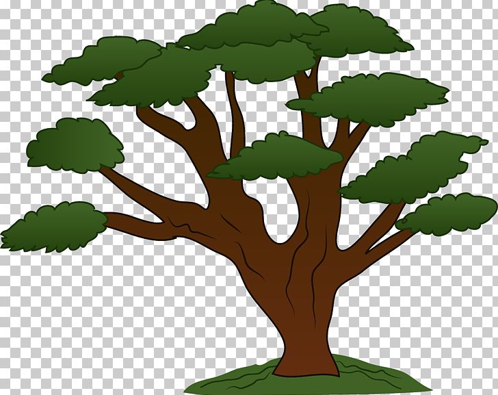 Tree Oak PNG, Clipart, Blog, Branch, Cartoon, Clip Art, Clipart Free PNG Download