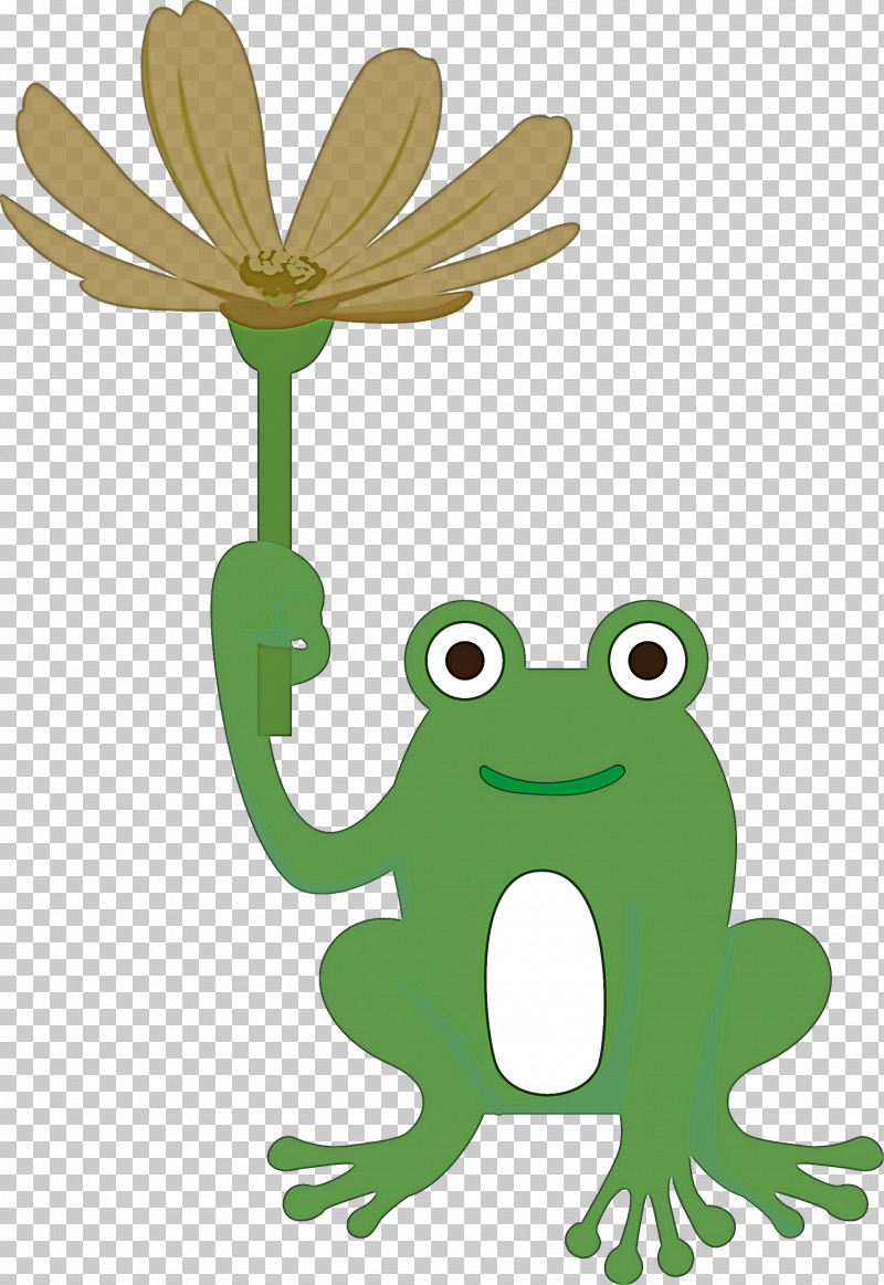 True Frog Toad Frogs Cartoon Tree Frog PNG, Clipart, Biology, Cartoon, Flower, Frog, Frogs Free PNG Download