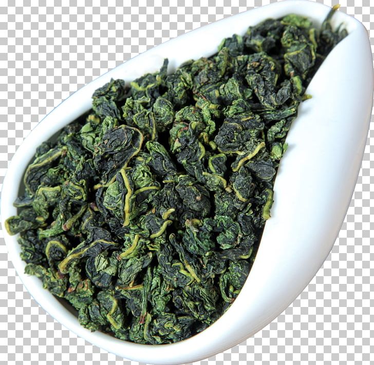 Green Tea Gyokuro Tieguanyin White Tea PNG, Clipart, Aonori, Background Green, Bancha, Biluochun, Camellia Sinensis Free PNG Download