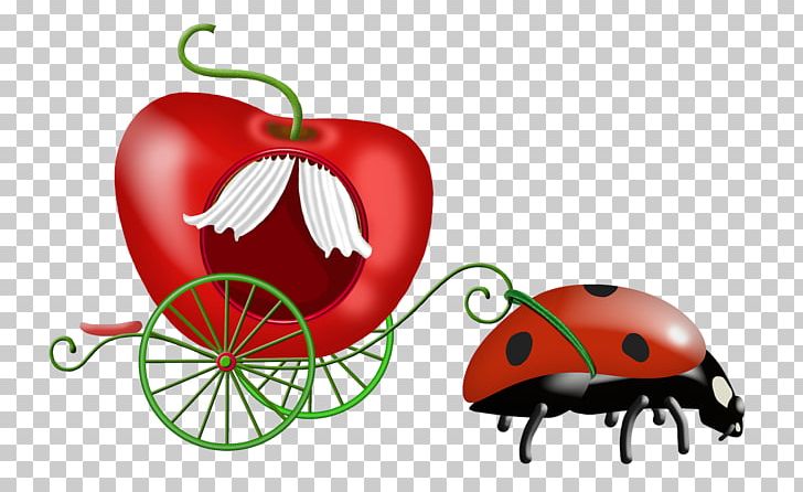 Ladybird PNG, Clipart, Computer Icons, Download, Food, Fruit, Insect Free PNG Download
