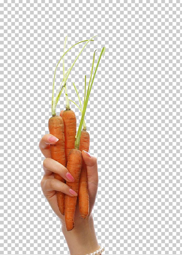 Carrot Vegetable Radish PNG, Clipart, Bacon, Bunch Of Carrots, Carrot, Carrot Cartoon, Carrot Creative Free PNG Download