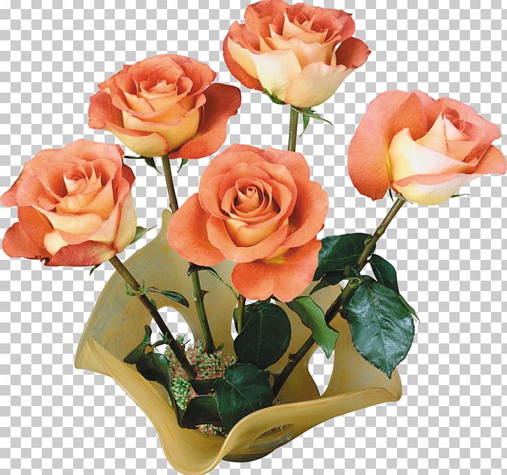IPod Touch Garden Roses Flower App Store PNG, Clipart, Apple, Apple Tv, App Store, Artificial Flower, Cut Flowers Free PNG Download