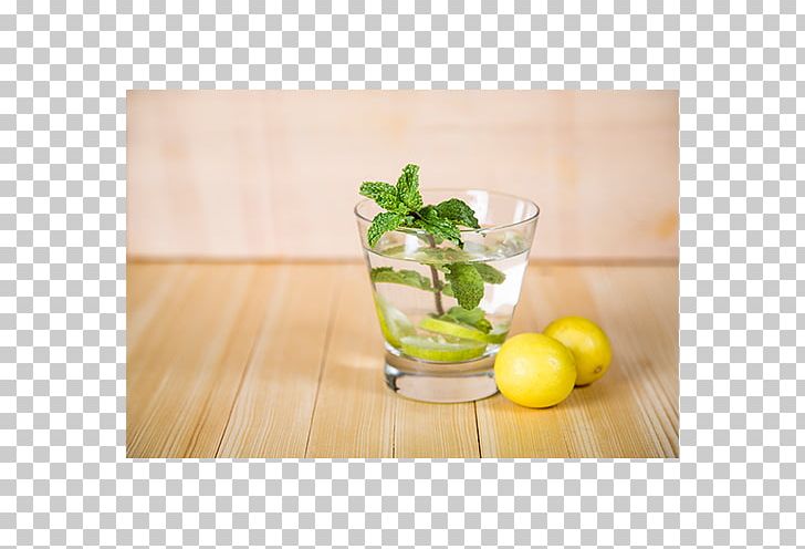 Mojito Limeade Cocktail Garnish Mint Julep Spritzer PNG, Clipart, Cocktail, Cocktail Garnish, Drink, Food Drinks, Garnish Free PNG Download