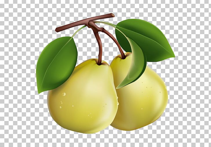 Pear Drop Perry PNG, Clipart, Apple, Avoid, European Pear, Food, Fruit Free PNG Download