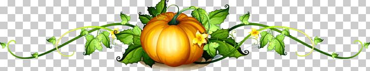 Pumpkin Vine PNG, Clipart, Autumn Leaf, Blog, Florist, Flower, Food Free PNG Download