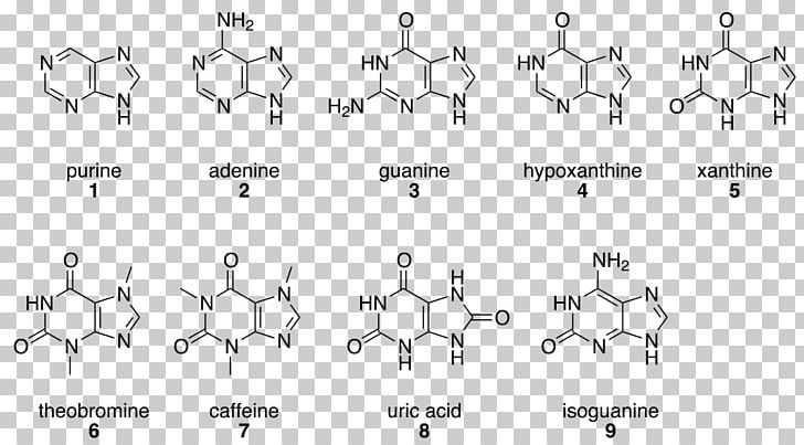 Purine プリン塩基 Adenine Base Guanine PNG, Clipart, Adenine, Alkaloid, Angle, Auto Part, Base Free PNG Download