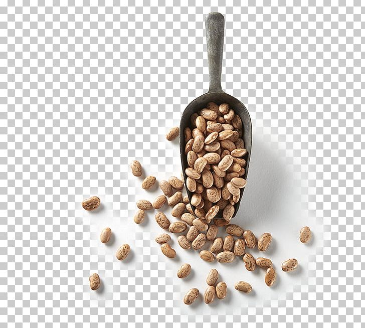 Refried Beans Pinto Bean Food Nut PNG, Clipart, Bean, Cocoa Bean, Commodity, Flavor, Food Free PNG Download