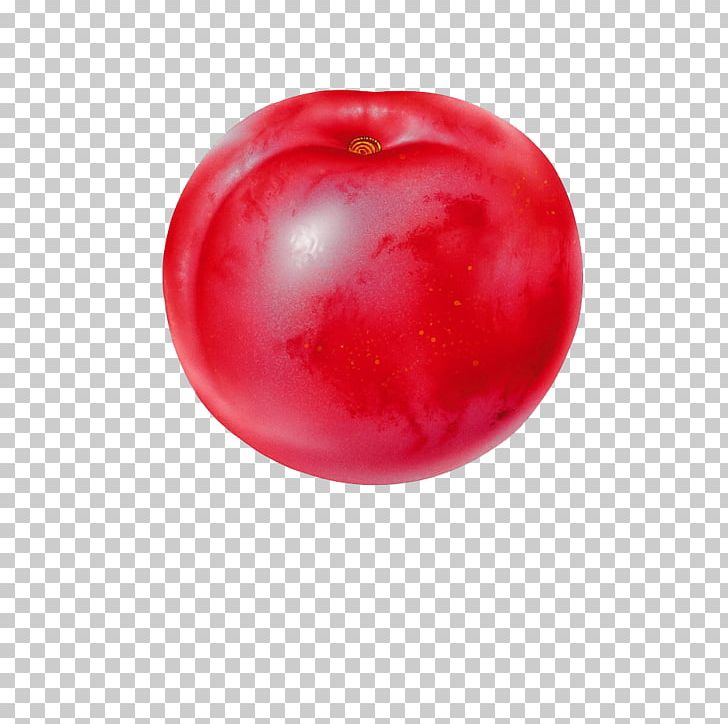 Tomato Plum Auglis PNG, Clipart, Acerola, Ameixeira, Apple, Auglis, Barbados Cherry Free PNG Download
