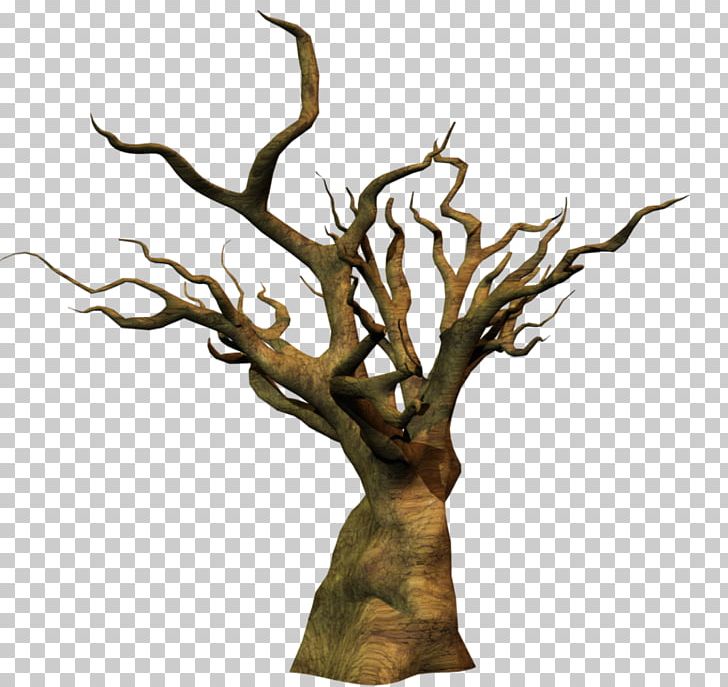 Twig Trunk Wood Tree Snag PNG, Clipart, Blossom, Branch, Dead, Dead Tree, Deviantart Free PNG Download