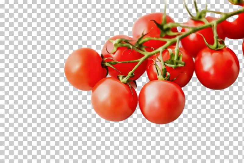 Tomato PNG, Clipart, Apricot, Bush Tomato, Cherries, Cherry, Cherry Tomatoes Free PNG Download
