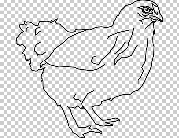 Chicken Drawing Line Art Hen PNG, Clipart, Angle, Animals, Area, Beak, Bird Free PNG Download
