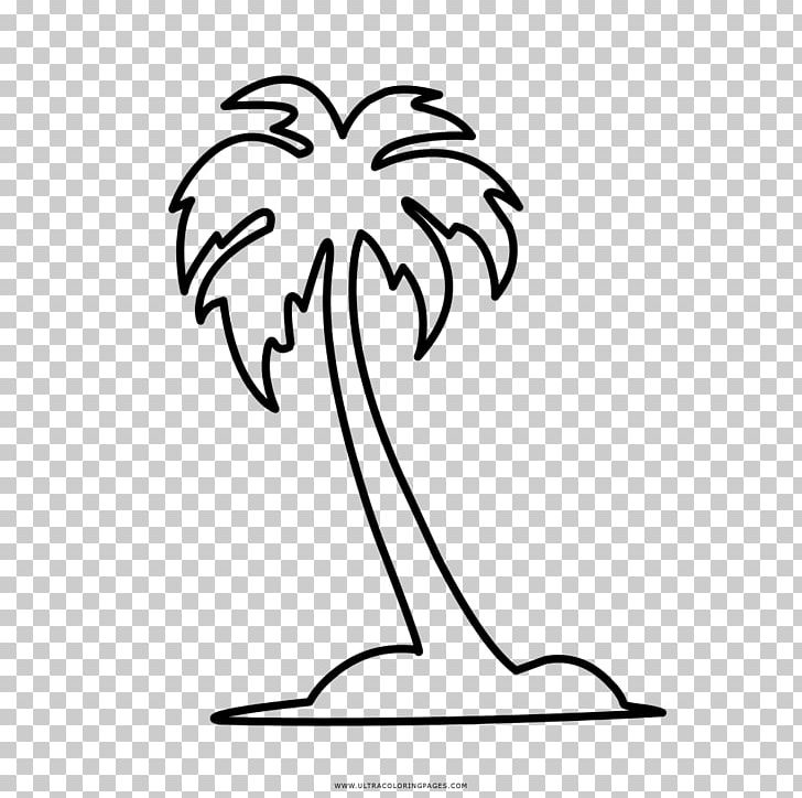 Coloring Book Drawing Arecaceae PNG, Clipart, Area, Arecaceae, Black, Black And White, Branch Free PNG Download