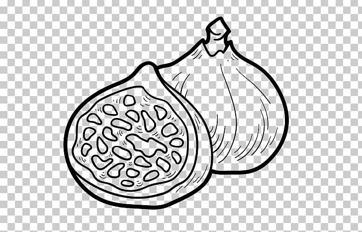 Drawing Coloring Book Common Fig Food PNG, Clipart, Artwork, Auglis, Barbary Fig, Black And White, Color Free PNG Download