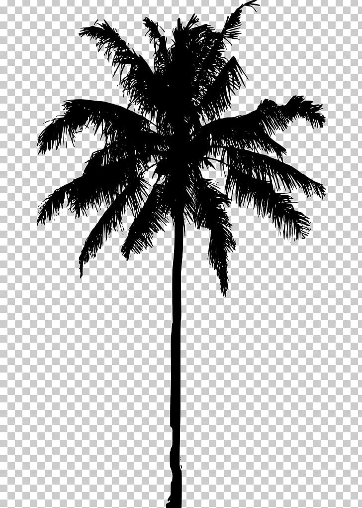 Asian Palmyra Palm Arecaceae Silhouette Tree PNG, Clipart, Animals, Arecaceae, Arecales, Art, Asian Palmyra Palm Free PNG Download