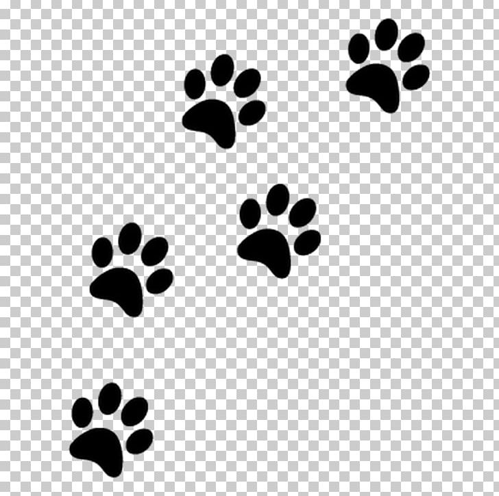 Cat Yorkshire Terrier Paw PNG, Clipart, Amour, Animals, Black, Black And White, Cat Free PNG Download