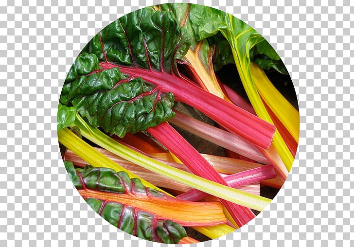 Chard Common Beet Heirloom Plant Vegetable Garden Rhubarb PNG, Clipart, Beet, Beta, Chard, Common Beet, Food Free PNG Download