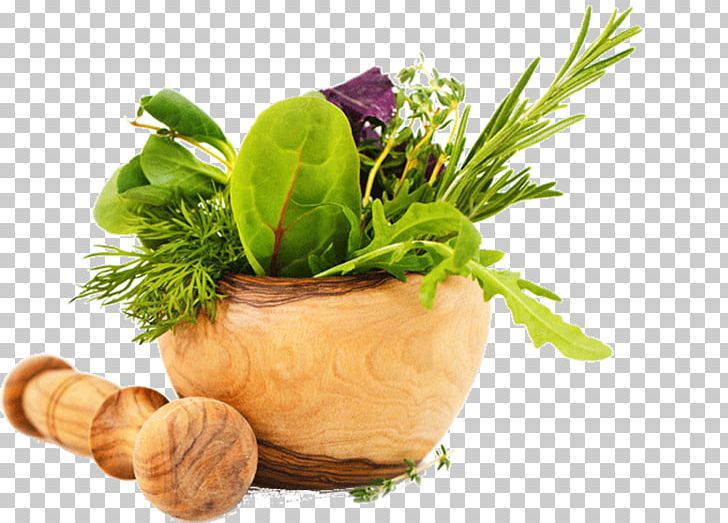 Herb Food Health Cosmetics Flavor PNG, Clipart, Ayurveda, Bomullsvadd, Concoction, Cosmetics, Dini Free PNG Download