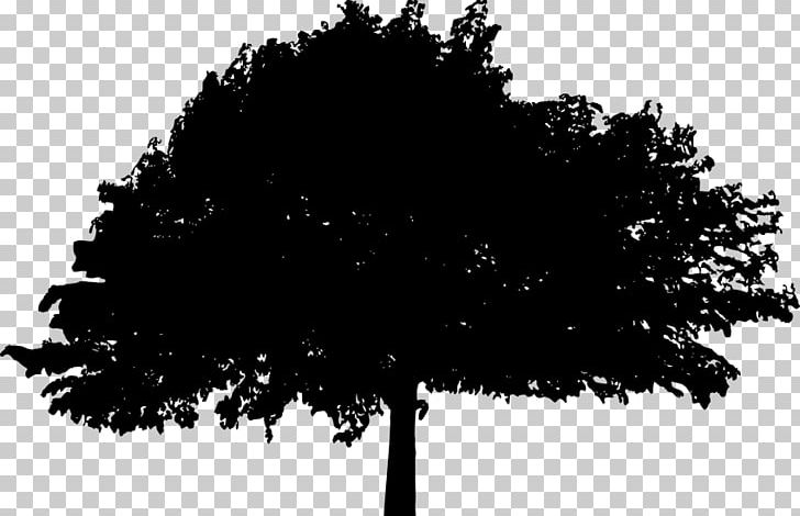 Silhouette Photography PNG, Clipart, Animals, Black, Black And White, Branch, Drawing Free PNG Download