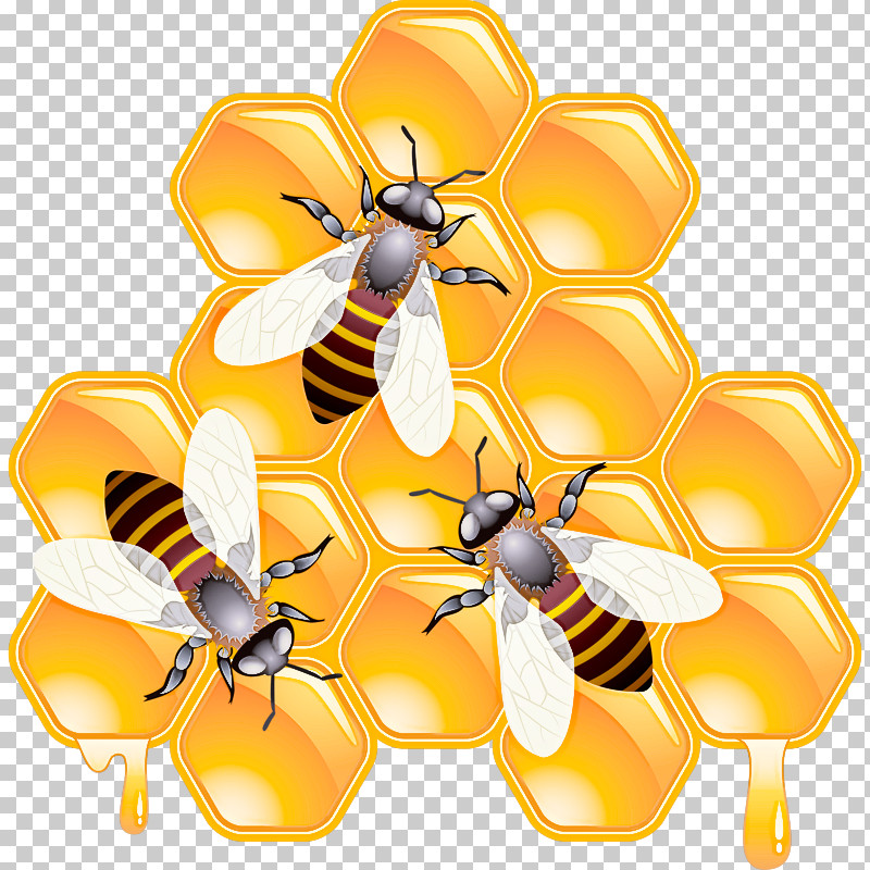 Honeybee Bee Insect Eumenidae Membrane-winged Insect PNG, Clipart, Bee, Eumenidae, Honeybee, Hornet, Insect Free PNG Download