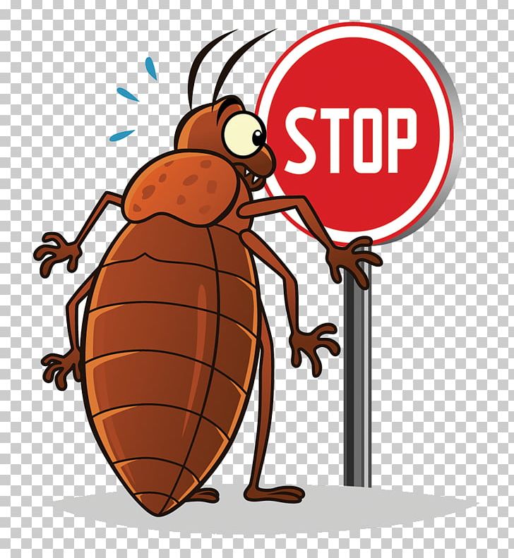 Insect Bed Bug PNG, Clipart, Animals, Arthropod, Bed Bug Bite, Cartoon,  Computer Icons Free PNG Download