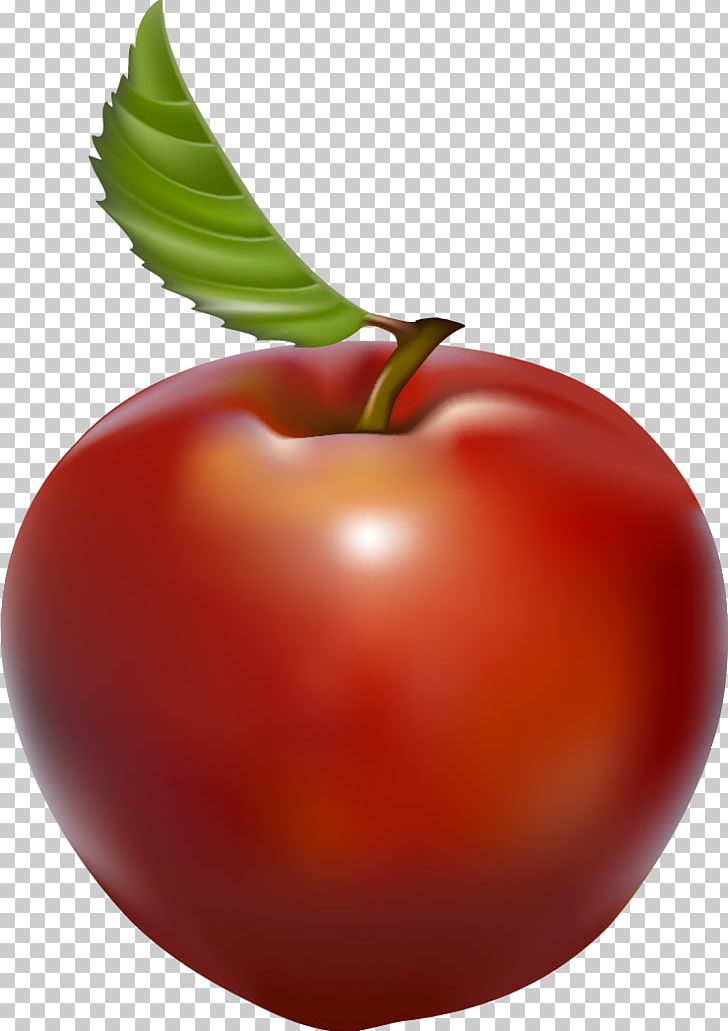 Tomato Watery Rose Apple Barbados Cherry PNG, Clipart, Acerola Family, Apple, Barbados Cherry, Cherry, Food Free PNG Download