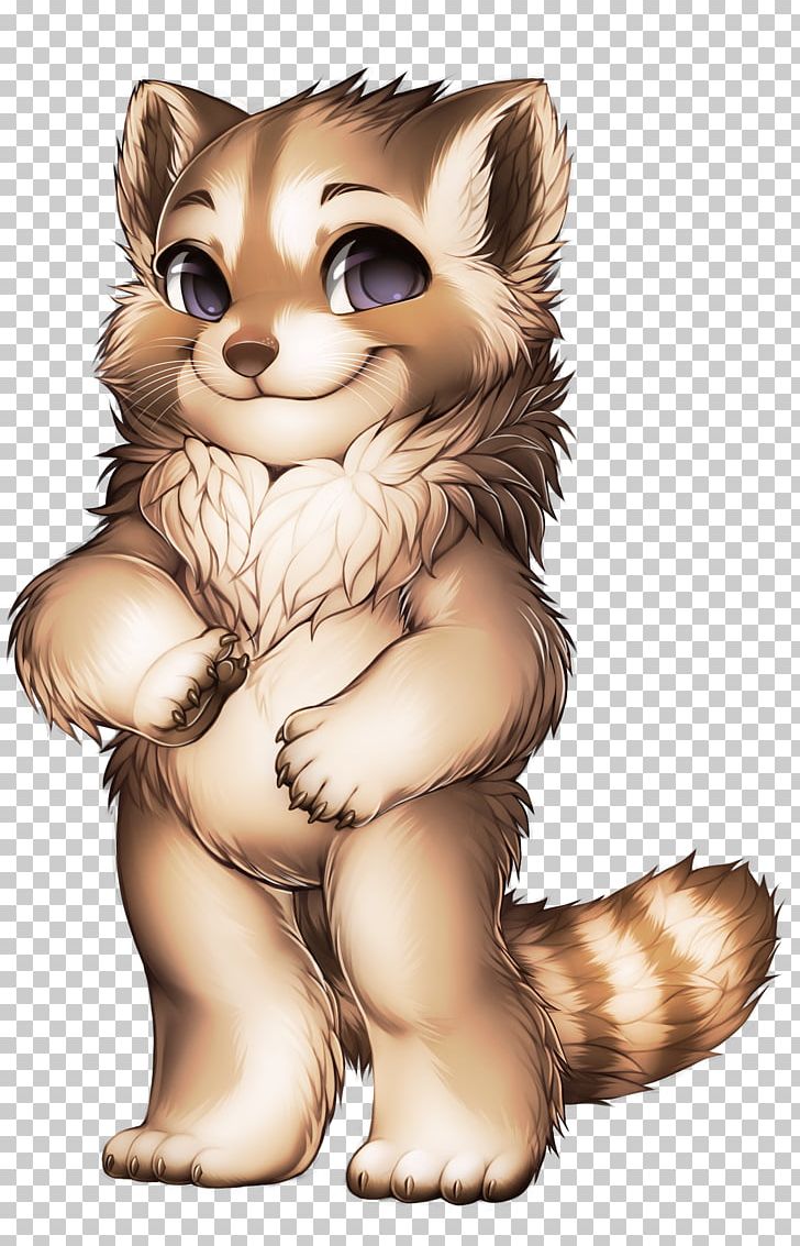 Whiskers Raccoon Ferret Weasels Cat PNG, Clipart, Animal, Animals, Bear, Carnivoran, Cat Like Mammal Free PNG Download