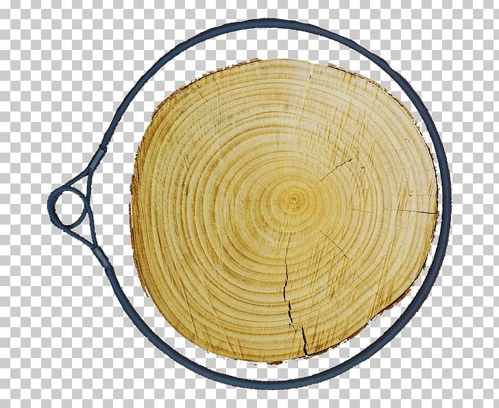 Wood /m/083vt Tree PNG, Clipart, Circle, M083vt, Nature, Tree, Wood Free PNG Download
