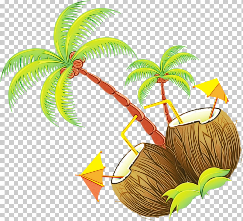 Palm Trees PNG, Clipart, Arecales, Biology, Coconut, Leaf, Paint Free PNG Download