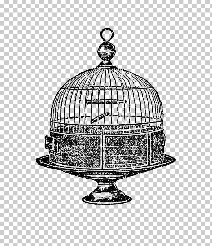 Birdcage Domestic Canary Drawing PNG, Clipart, Animals, Antique, Bird, Birdcage, Black And White Free PNG Download