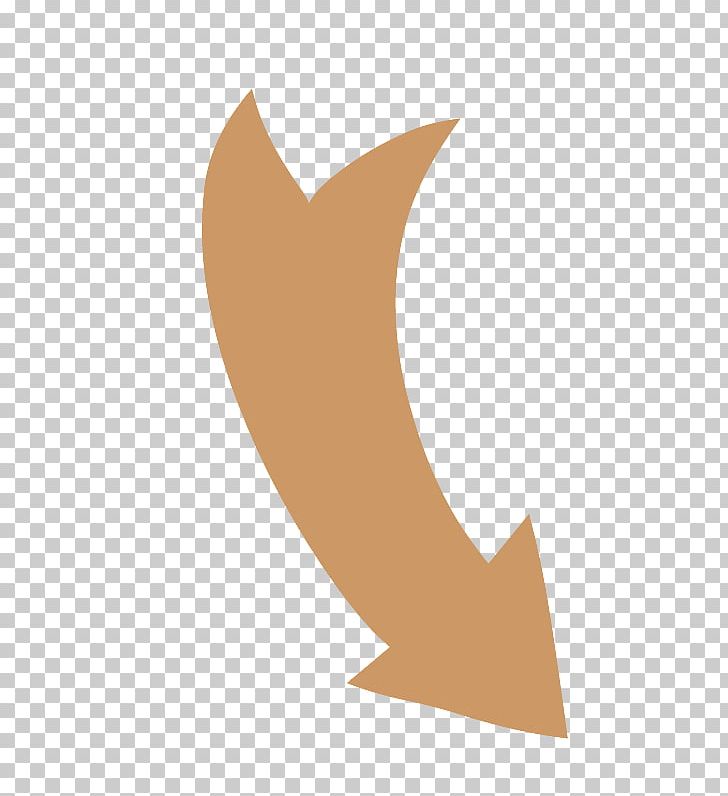 Down Curved Arrow Shapes. PNG, Clipart, Angle, Art, Line, Tail, Wing Free PNG Download