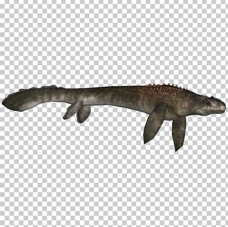 Reptile Mosasaurus Tylosaurus Liopleurodon Elasmosaurus PNG, Clipart, Animal, Ark Survival Evolved, Crocodilia, Dinosaur, Elasmosaurus Free PNG Download