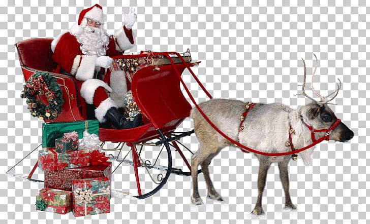 Santa Claus Ded Moroz Christmas Reindeer PNG, Clipart, Blog, Cart, Chariot, Christmas, Christmas Ornament Free PNG Download