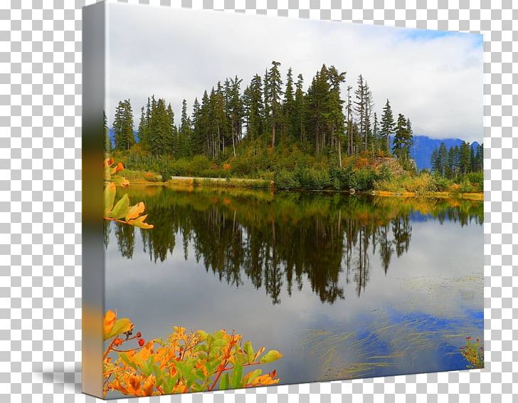 Water Resources Pond Gallery Wrap Ecosystem Canvas PNG, Clipart, Art, Bank, Canvas, Ecosystem, Gallery Wrap Free PNG Download