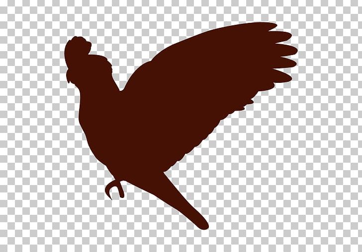Lovebird Parrot Flight PNG, Clipart, Animals, Beak, Bird, Bird Flight, Black And White Free PNG Download