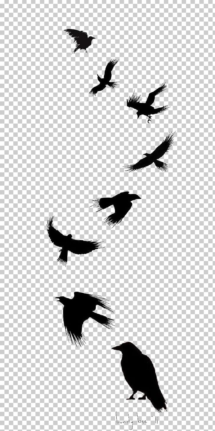 Common Raven Bird Tattoo Drawing Flight PNG, Clipart, Animal, Animal Migration, Art, Beak, Bird Migration Free PNG Download