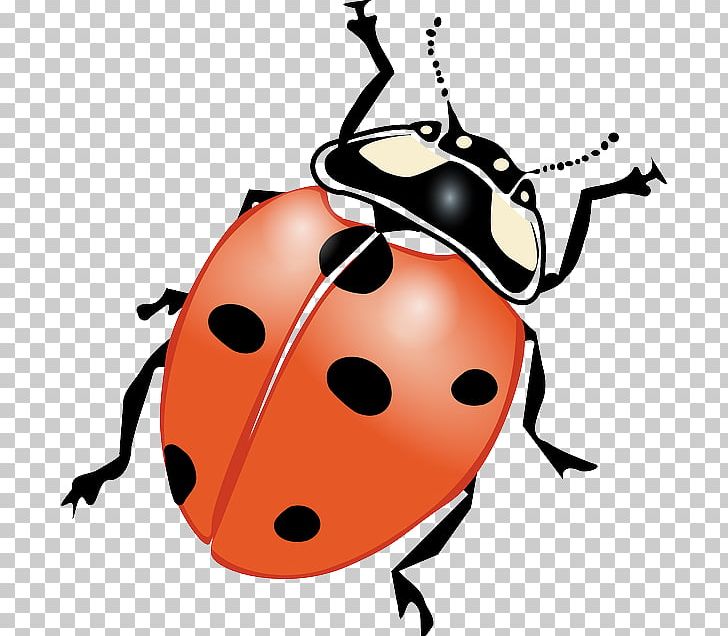 Drawing Ladybird Beetle PNG, Clipart, Artwork, Beetle, Download, Drawing, Insect Free PNG Download