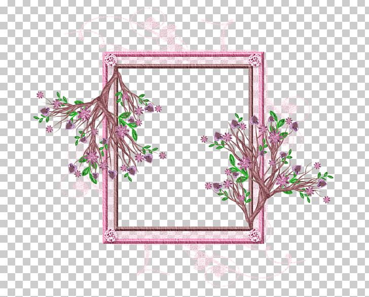 Frames Product Pink M Rectangle Font PNG, Clipart, Branch, Flora, Floral Design, Flower, Flowering Plant Free PNG Download