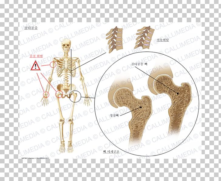 Homo Sapiens Ear PNG, Clipart, Angle, Ear, Homo Sapiens, Human, Human Body Free PNG Download