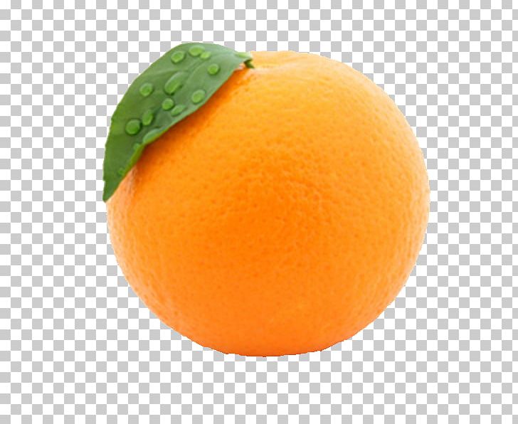 Orange Juice Fruit Peel PNG, Clipart, Apple, Bitter Orange, Citric Acid, Citrus, Clementine Free PNG Download