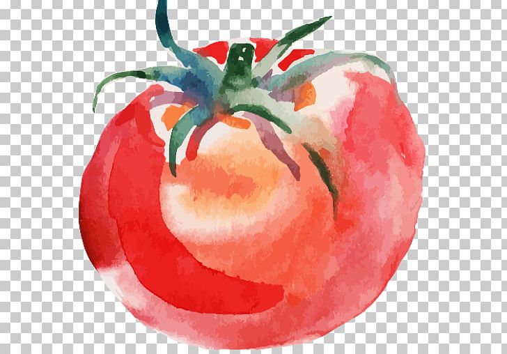 Tomato Soup Watercolor Painting Drawing PNG, Clipart, Apple, Art, Bush Tomato, Cherry Tomato, Drawing Free PNG Download