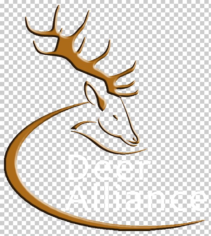 Deer Antler Wildlife Elk PNG, Clipart, Animals, Antler, Artwork, Deer, Deer Hunting Free PNG Download