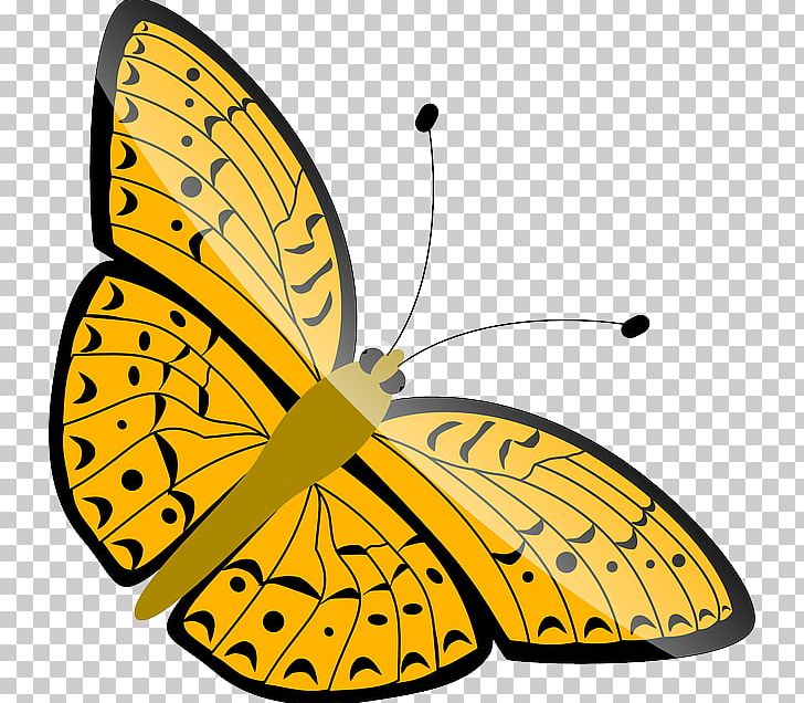 Monarch Butterfly Orange PNG, Clipart, Artwork, Blue, Brush Footed Butterfly, Butterfly, Color Free PNG Download