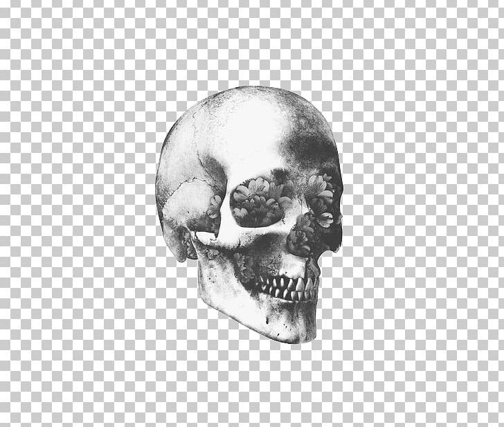 Skull Art Human Skeleton Human Skull Symbolism PNG, Clipart, Art, Black, Black And White, Bone, Drawing Free PNG Download